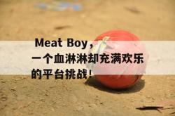  Meat Boy，一个血淋淋却充满欢乐的平台挑战！